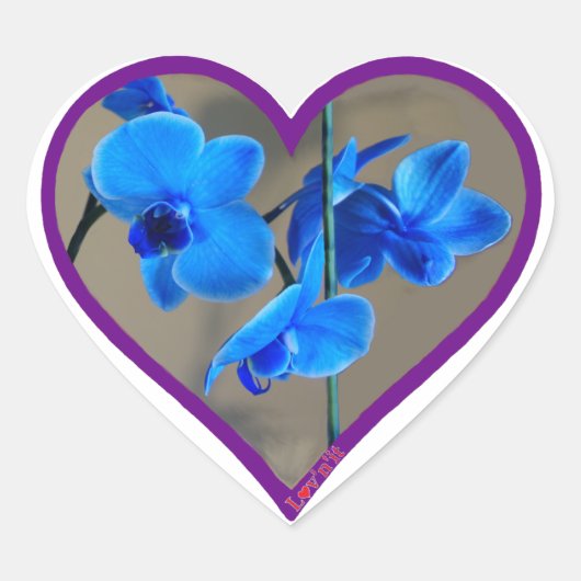 Blauorchid Herz-Aufkleber (Vorderseite)