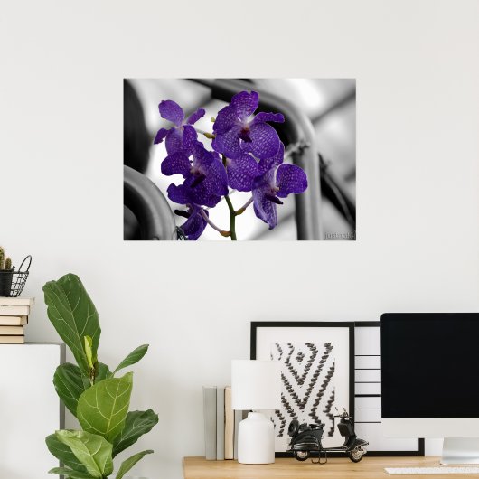 Blauorchid Print Poster (Heimbüro)