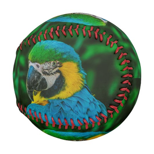 Blaupapagei Baseball (Vorne Rechts)