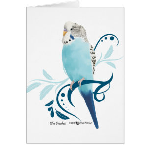 Blauparakeet