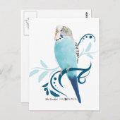 Blauparakeet Postkarte (Vorne/Hinten)