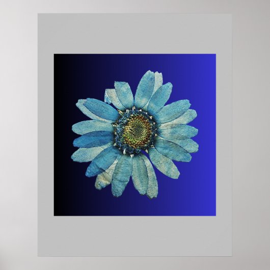 Blauposter Poster (Vorne)