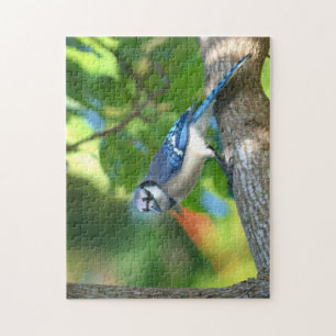 Blaurabe auf Baum sitzend Fotografische Natur Puzzle