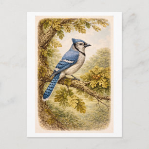 Blauraben-Illustration im Vintage-Stil Postkarte