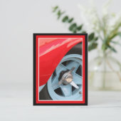 Blaurad und Knockoff Postkarte (Stehend Vorderseite)