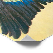 Blaurake von Albrecht Durer Poster (Ecke)