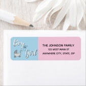 Blaurosa | Boy Girl Gender Reveal Party (Insitu)