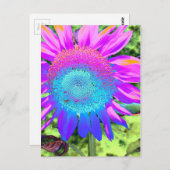Blaurosa funky Retro-Sonnenblumen Foto Postkarte (Vorne/Hinten)