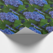 Blauschattierungen - Blaues Hydrangea Geschenkpapier (Ecke)