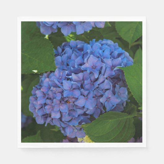 Blauschattierungen - Blaues Hydrangea Serviette (Vorderseite)