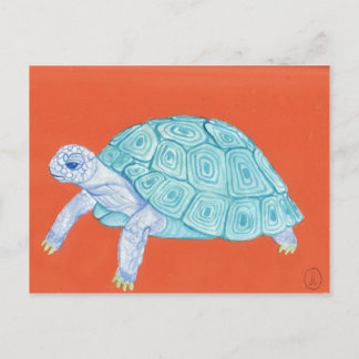 Blauschildkröte Postkarte