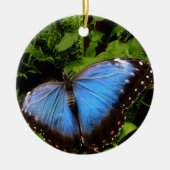 Blauschmetterling Keramik Ornament (Vorne)