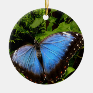 Blauschmetterling Keramik Ornament