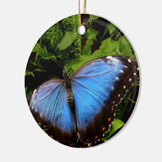 Blauschmetterling Keramik Ornament (Links)