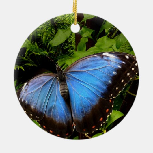 Blauschmetterling Keramik Ornament (Hinten)