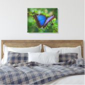 Blauschmetterling-Leinwand Leinwanddruck (Insitu (Schlafzimmer))