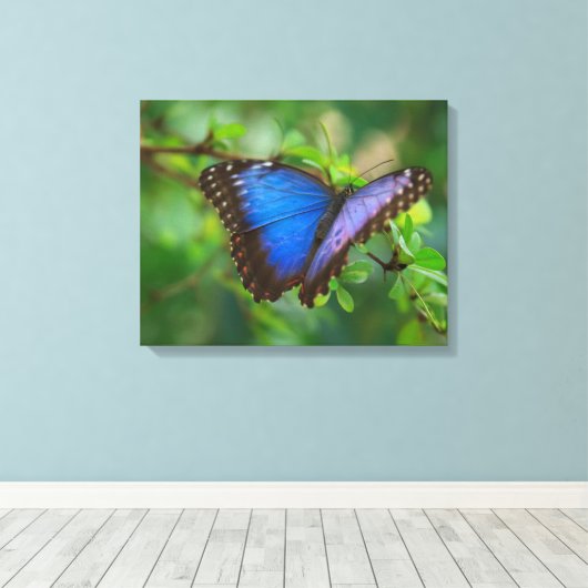 Blauschmetterling-Leinwand Leinwanddruck (Insitu (Holzboden))