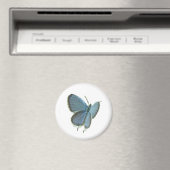 Blauschmetterling Magnet (In Situ (Geschirrspüler))