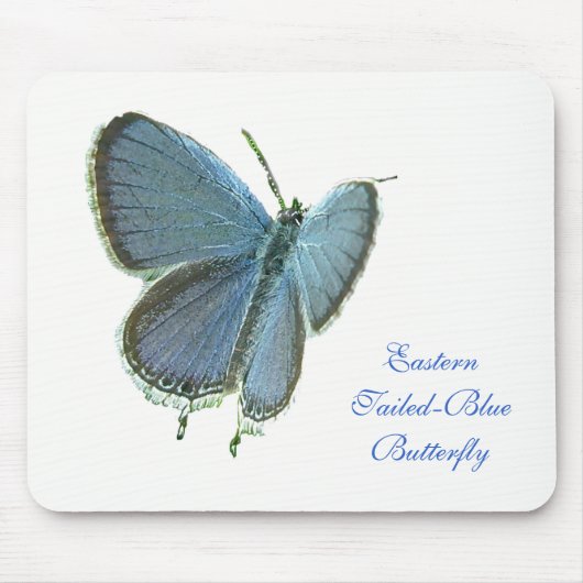 Blauschmetterling Mousepad (Vorne)