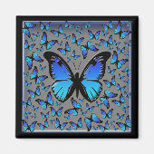 Blauschmetterlinge Magnet (Vorne)