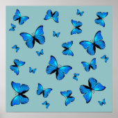 Blauschmetterlinge Poster (Vorne)