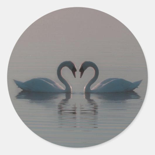 Blauschwäne müssen Liebe sein Runder Aufkleber (Vorderseite)