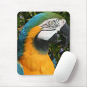 Blauu. GoldMacaw Mousepad (Mit Mouse)