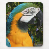 Blauu. GoldMacaw Mousepad (Vorne)