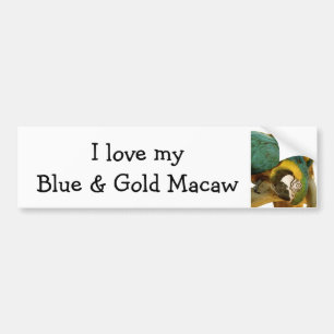 Blauund Goldmacaw-Autoaufkleber Autoaufkleber