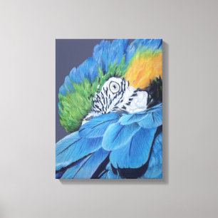 Blauund GoldMacaw Leinwanddruck