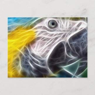 Blauund GoldMacaw Postkarte