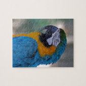 Blauund GoldMacaw Puzzle (Horizontal)