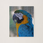 Blauund GoldMacaw Puzzle (Vertikal)