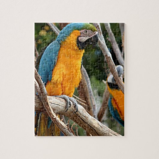 Blauund GoldMacaw Puzzle (Vertikal)