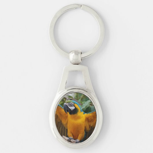 Blauund GoldMacaw Schlüsselanhänger (Vorderseite)