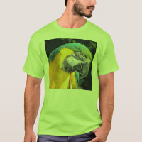 Blauund GoldMacaw