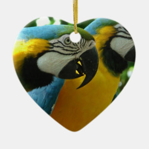 Blauund Goldmacaws-Verzierung Keramikornament
