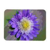 Blauviolett-Blume Magnet (Horizontal)