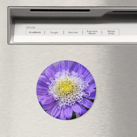 Blauviolett-Blume Magnet (In Situ (Geschirrspüler))