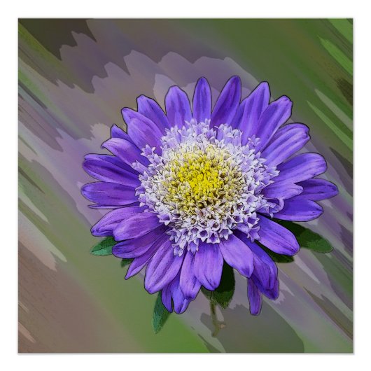 Blauviolett-Blume Poster (Vorderseite)
