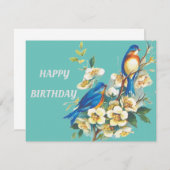 Blauvögel (Vorne/Hinten)