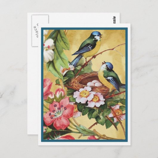 Blauvogel 7 postkarte (Vorne/Hinten)