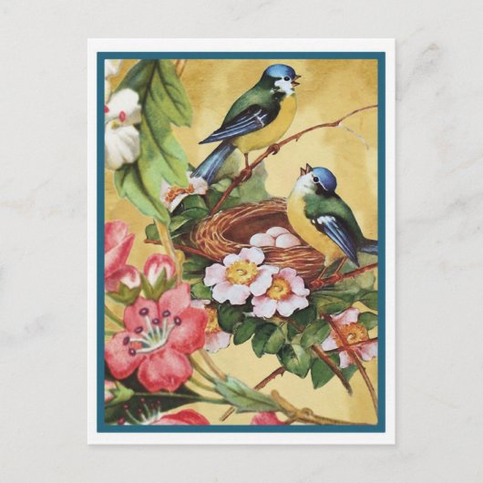 Blauvogel 7 postkarte (Vorderseite)