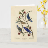 Blauvögel und Warbler, Audubons Vögel von Amerika Karte (Gelbe Blume)
