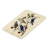 Blauvögel und Warbler, Audubons Vögel von Amerika Magnet (Linke Seite)