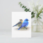 Blauvogelpaare, männliche und weibliche Bluebirts Postkarte (Stehend Vorderseite)