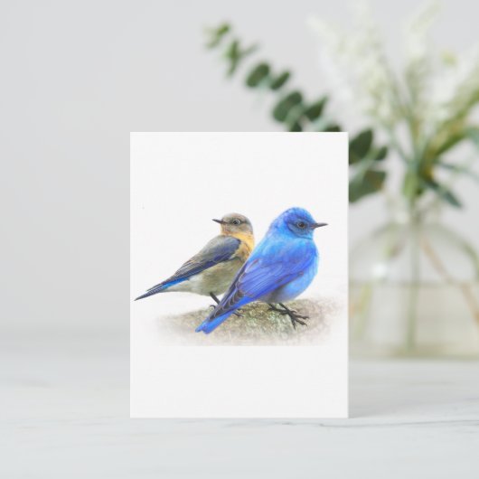 Blauvogelpaare, männliche und weibliche Bluebirts Postkarte (Stehend Vorderseite)