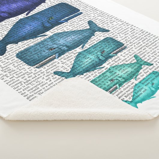 Blauwal-Familie Sherpadecke (3/4)