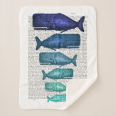 Blauwal-Familie Sherpadecke (Vorderseite)