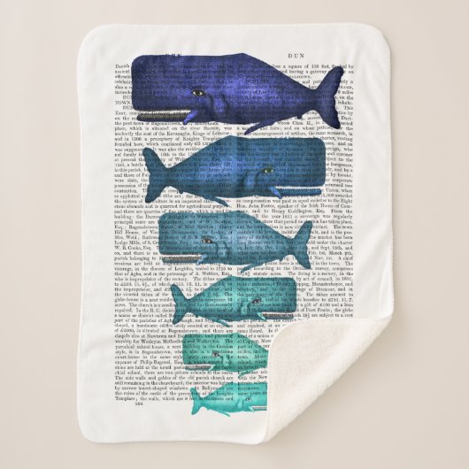 Blauwal-Familie Sherpadecke (Vorderseite)